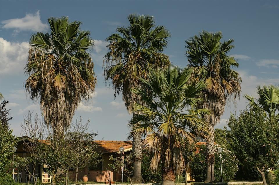 Tortuga Casa Vacanze Scarlino Luaran gambar